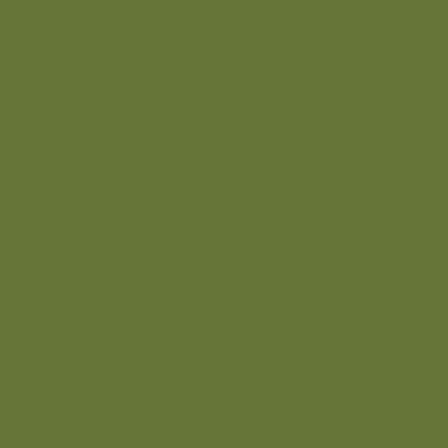 Olive Green | Tough Case | MagSafe